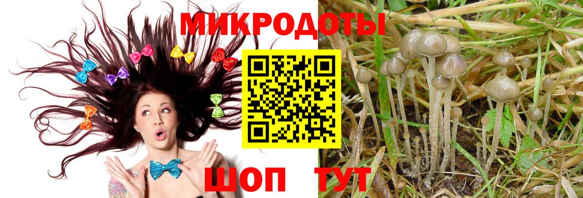 Галлюциногенные грибы Psilocybe Симферополь