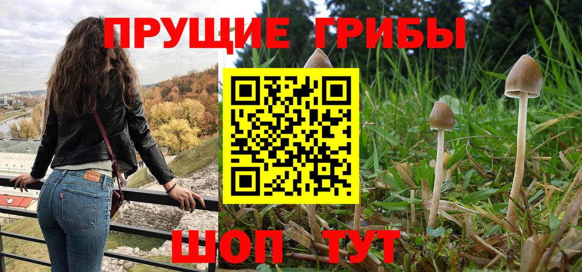 Симферополь  Галлюциногенные грибы MAGIC MUSHROOMS  Вход с VPN 